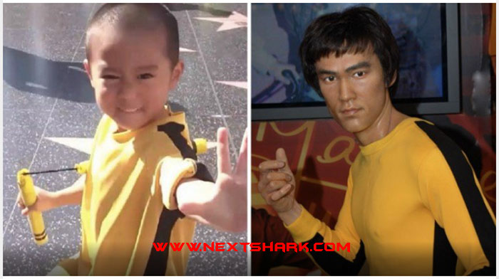 Ryuji Imai Reincarnation of Bruce Lee