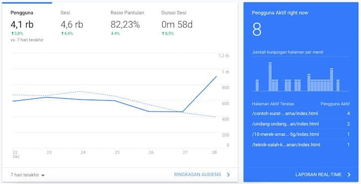 Tampilan Statistik Google Analytics Blogger Borneo