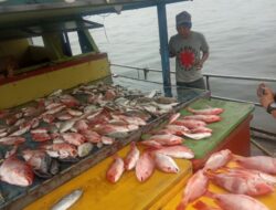 Sewa Kapal Mancing Pontianak Paket 3 Hari 2 Malam