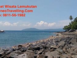 Wisata Pulau Lemukutan, Melihat Langsung Indahnya Ikan Nemo Menari