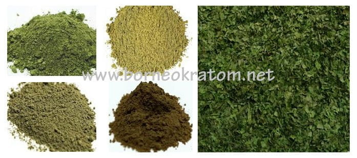 Borneo Kratom Supplier