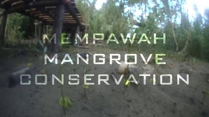 Taman Konservasi Mangrove Mempawah