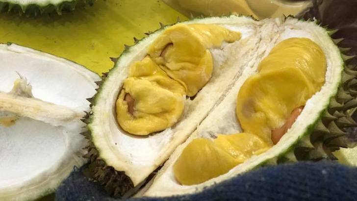 Tips Memilih Durian yang Baik dan Enak