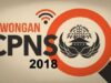 Penerimaan CPNS Daerah 2018