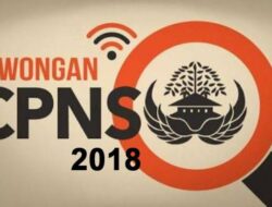 Penerimaan CPNS Daerah 2018 untuk Tenaga Guru, Kesehatan, dan Lainnya