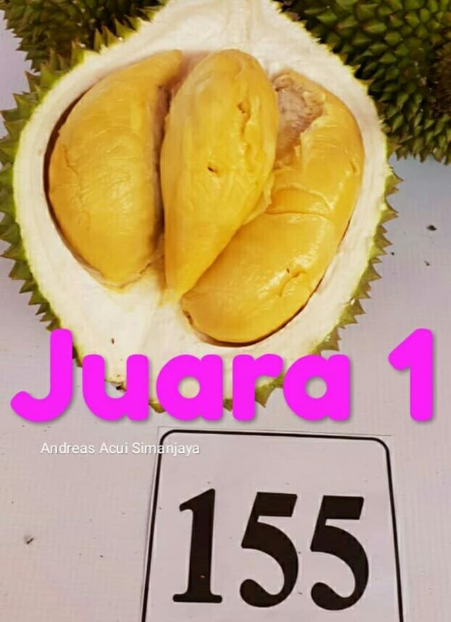 Festival Durian Juara 1