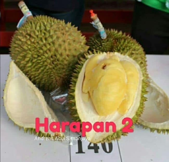 Festival Durian Juara Harapan 2