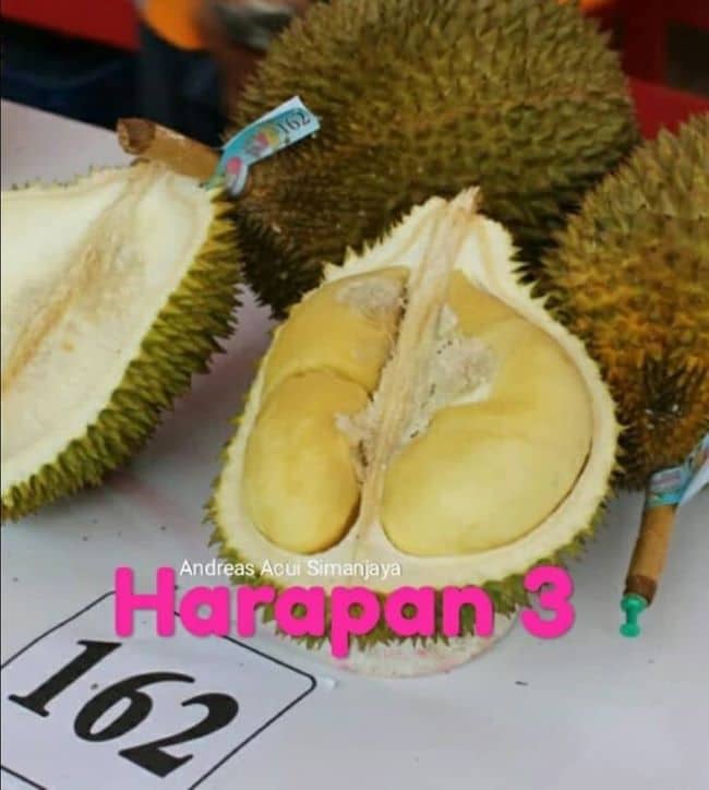 Festival Durian Juara Harapan 3