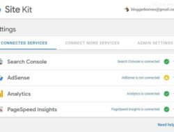 Google Site Kit WordPress Plugin, Analisa Website dalam Satu Tampilan