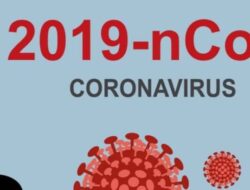 14 Fakta Terbaru Virus Corona COVID-19