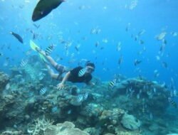 7 Spot Wisata Pulau di Paket Tour Karimun Jawa