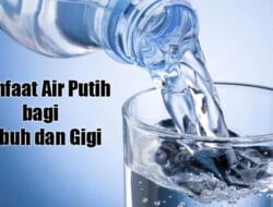 Manfaat Air Putih Jika Diminum Secara Rutin bagi Tubuh dan Gigi