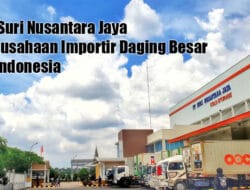 Suri Nusantara Jaya, Importir Besar Daging Beku di Indonesia