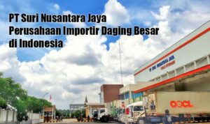 Suri Nusantara Jaya, Importir Besar Daging Beku di Indonesia