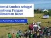 Potensi Kabupaten Sambas