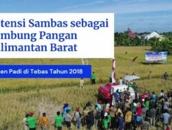 Memaksimalkan Potensi Kabupaten Sambas, Bercermin dari Kebijakan Bupati Bantul