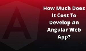 How Much Cost Does it Involve to Develop an AngularJS App and Website?