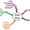 Contoh Mind Map