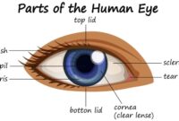 Inovasi VIO Optical Clinic untuk Penglihatan yang Lebih Baik