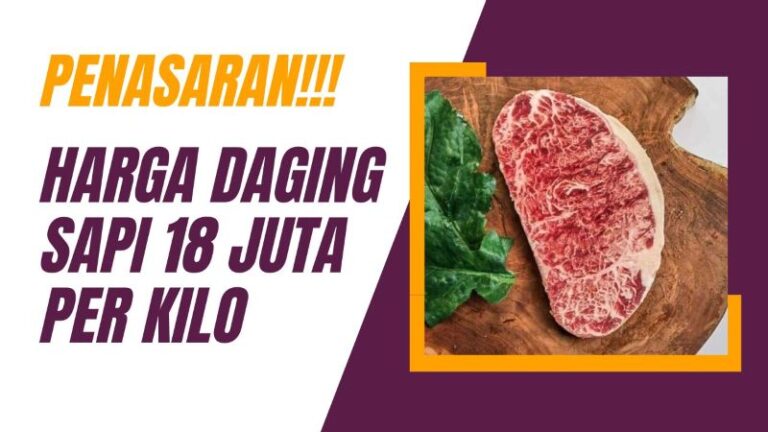 Penasaran Lihat Daging Sapi Harga 18 Juta Per Kilo Disini