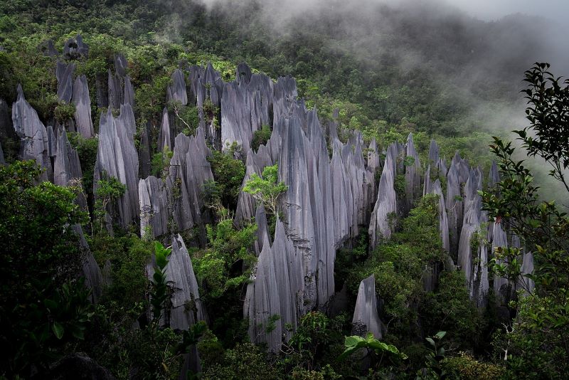 The Karst Formation at Gunung Mulu National Park, Malaysia