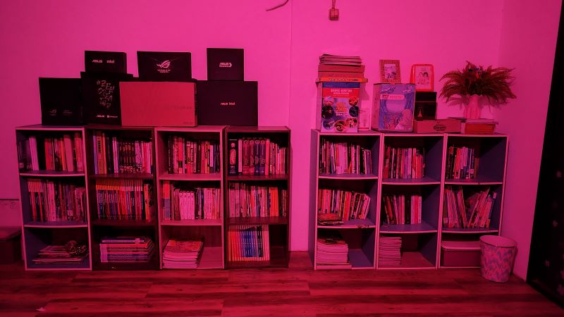 Ruangan Perpustakaan Mini Keluarga