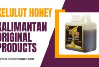 The Benefits of Kelulut Honey and the Right Way to Consume It