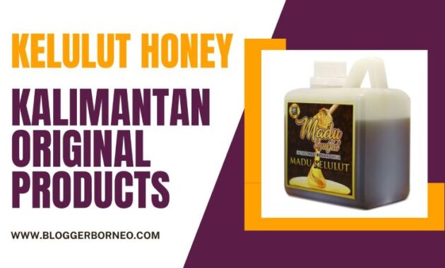 The Benefits of Kelulut Honey and the Right Way to Consume It