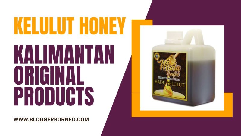The Benefits of Kelulut Honey
