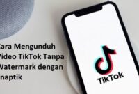 Snaptik: Cara Tercepat untuk Mengunduh Video Tiktok Tanpa Tanda Air