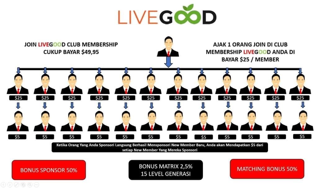 LiveGood Network Marketing System