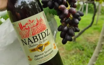 Penampakan Produk Nabidz Anggur Merah Berlabel Halal MUI, BPJPH Kecolongan?