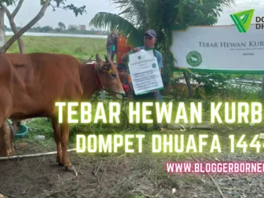 Tebar Hewan Kurban Dompet Dhuafa 1444 H Parit Sembin Kubu Raya