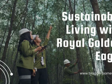 Sustainable Living with Royal Golden Eagle: Exploring Sustainable Fashion and Paper Upcycling