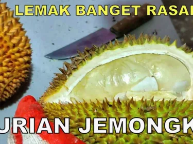 Durian Jemongko, Varietas Unggul Kalimantan Barat yang Banyak Peminat