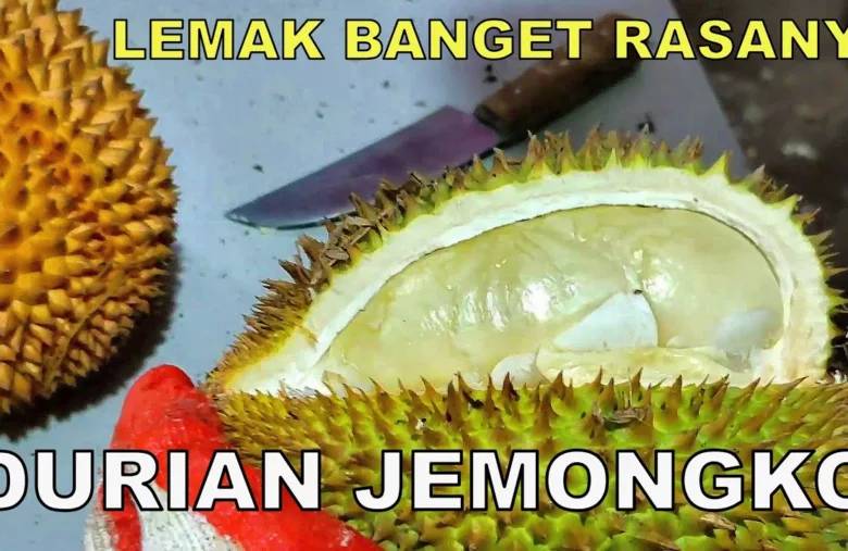 Durian Jemongko, Varietas Unggul Kalimantan Barat yang Banyak Peminat