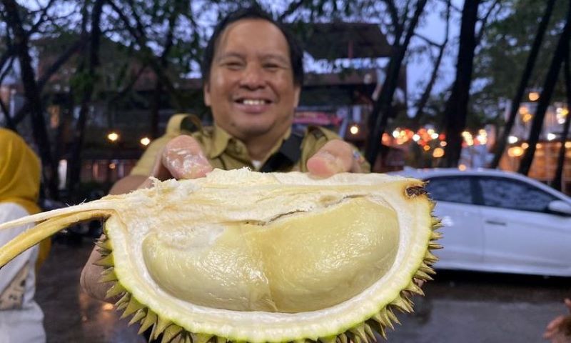 Durian Jemongko Varietas Unggul Kalimantan Barat