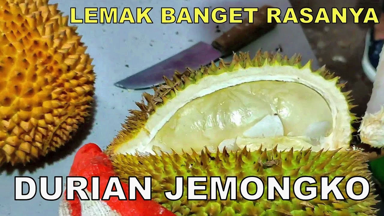 Durian Jemongko jpg
