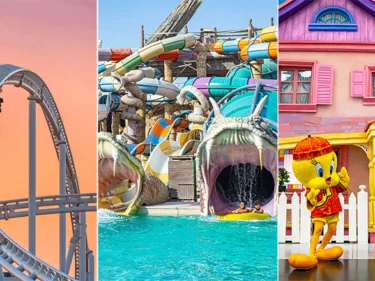 Saving Big on Thrills: The Perks of Multiple Theme Park Offers