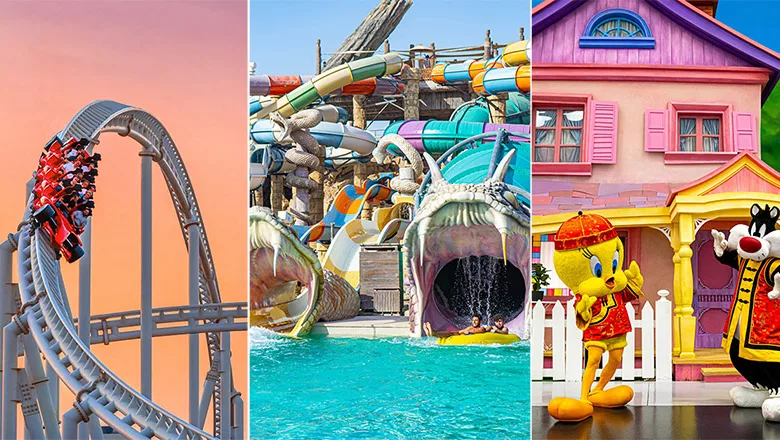 Saving Big on Thrills: The Perks of Multiple Theme Park Offers