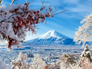 Jangan Cuma ke Tokyo! Deretan Kota di Jepang Ini Patut untuk Dikunjungi Saat Liburan