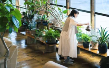 Ingin Berkebun tapi Lahan Terbatas? Buat Indoor Garden di Rumah Aja!