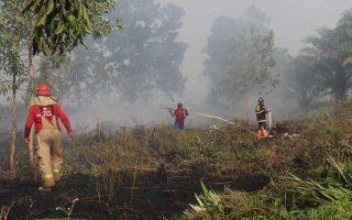 Kondisi Hutan Terbakar di Kalimantan Barat
