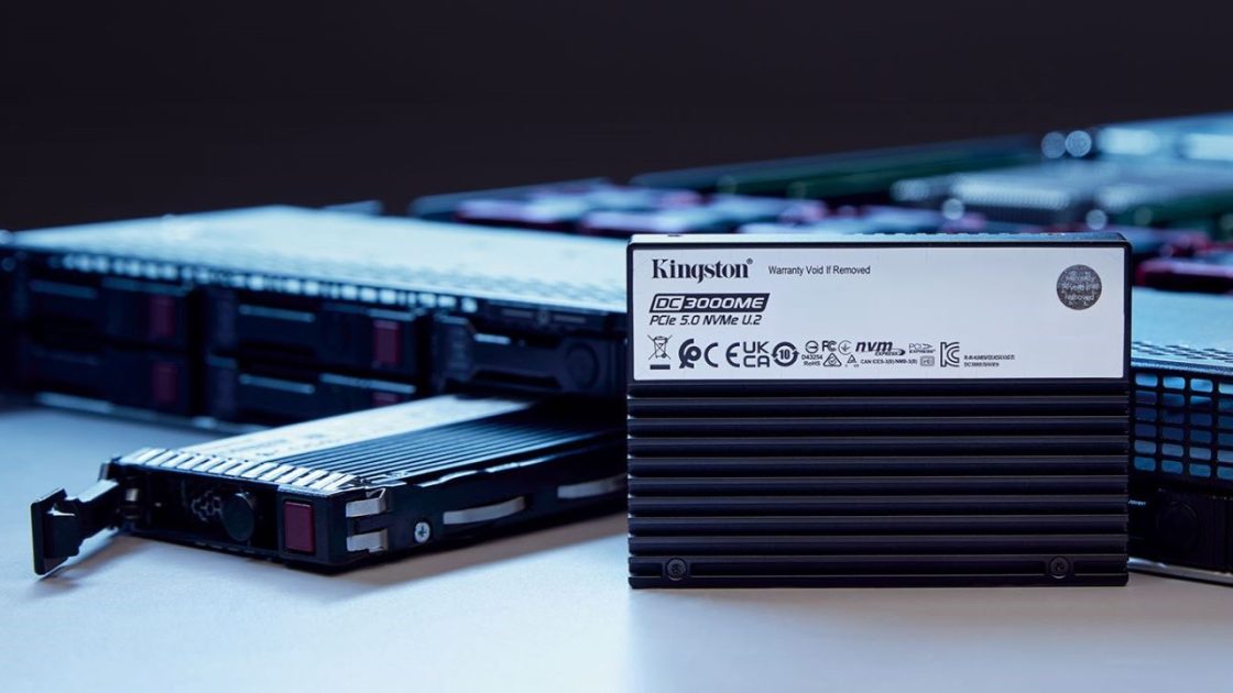 Kingston Hero SSD DC3000ME LG