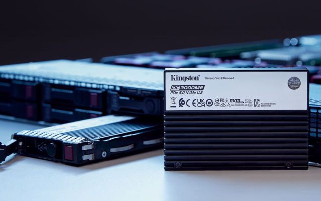 Kingston Hero SSD DC3000ME LG