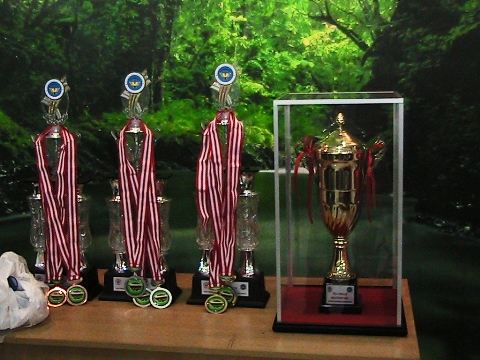 Piala Pemenang Kompetisi Desain Blog Makumpala 2011